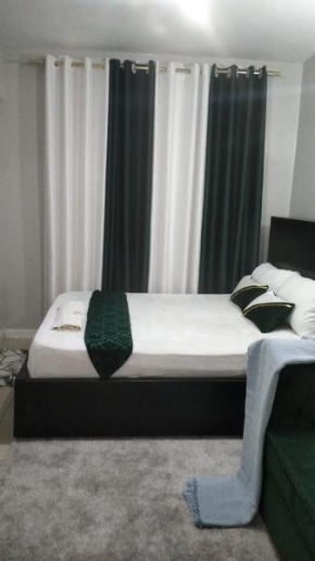 Lux Suites Coral Bells Studio Apartments Kiambu Road